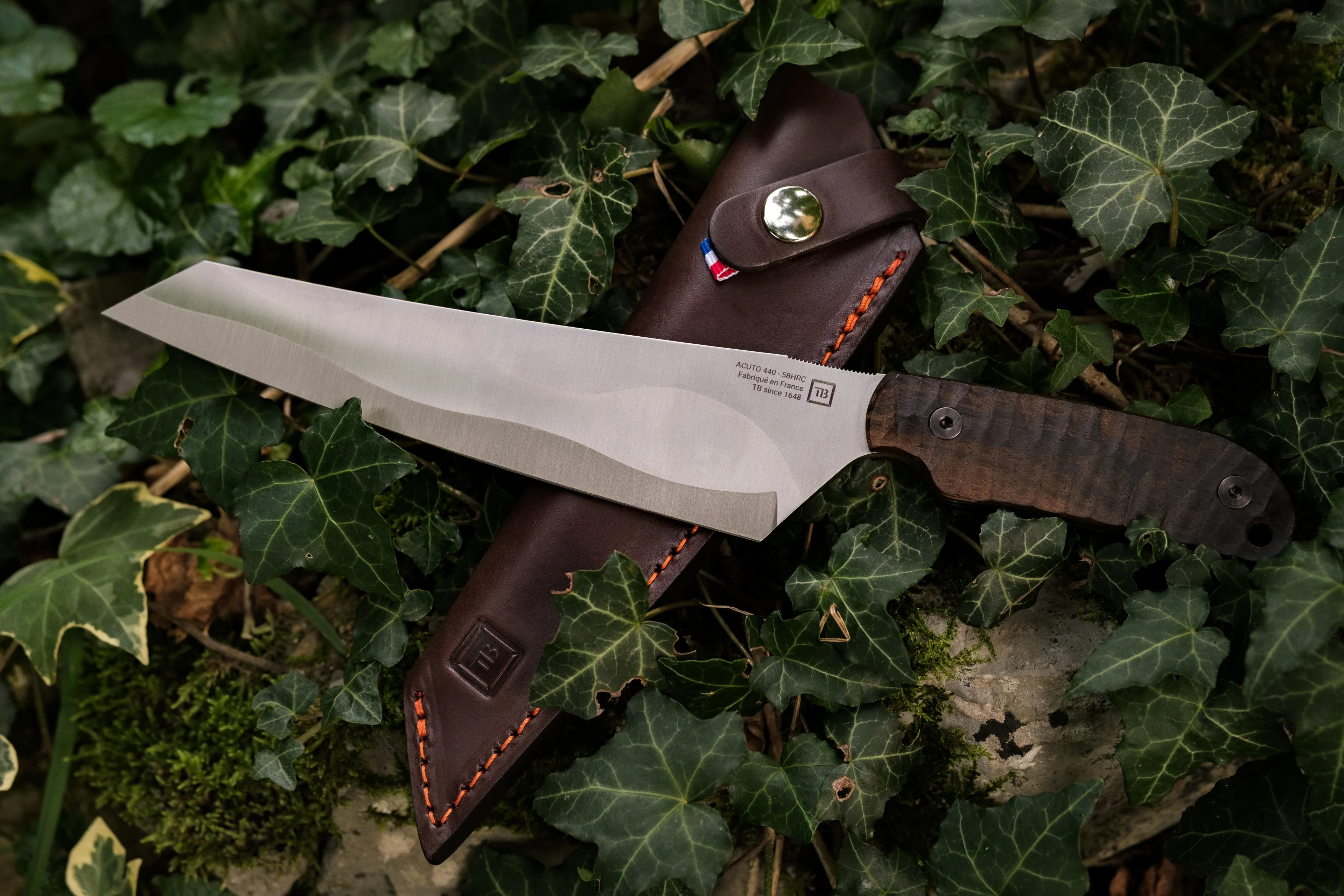 Dravik® - Image 3
